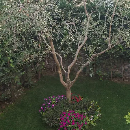 Vila Bregu 4*