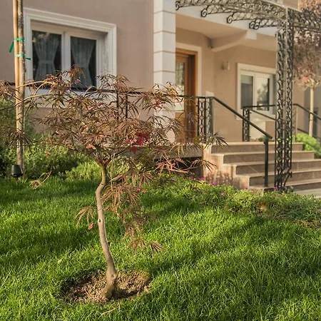 Hotel Vila Bregu 4*