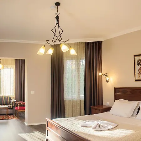 Vila Bregu Отель