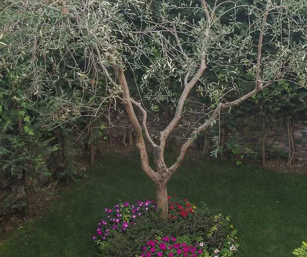 Vila Bregu 4*